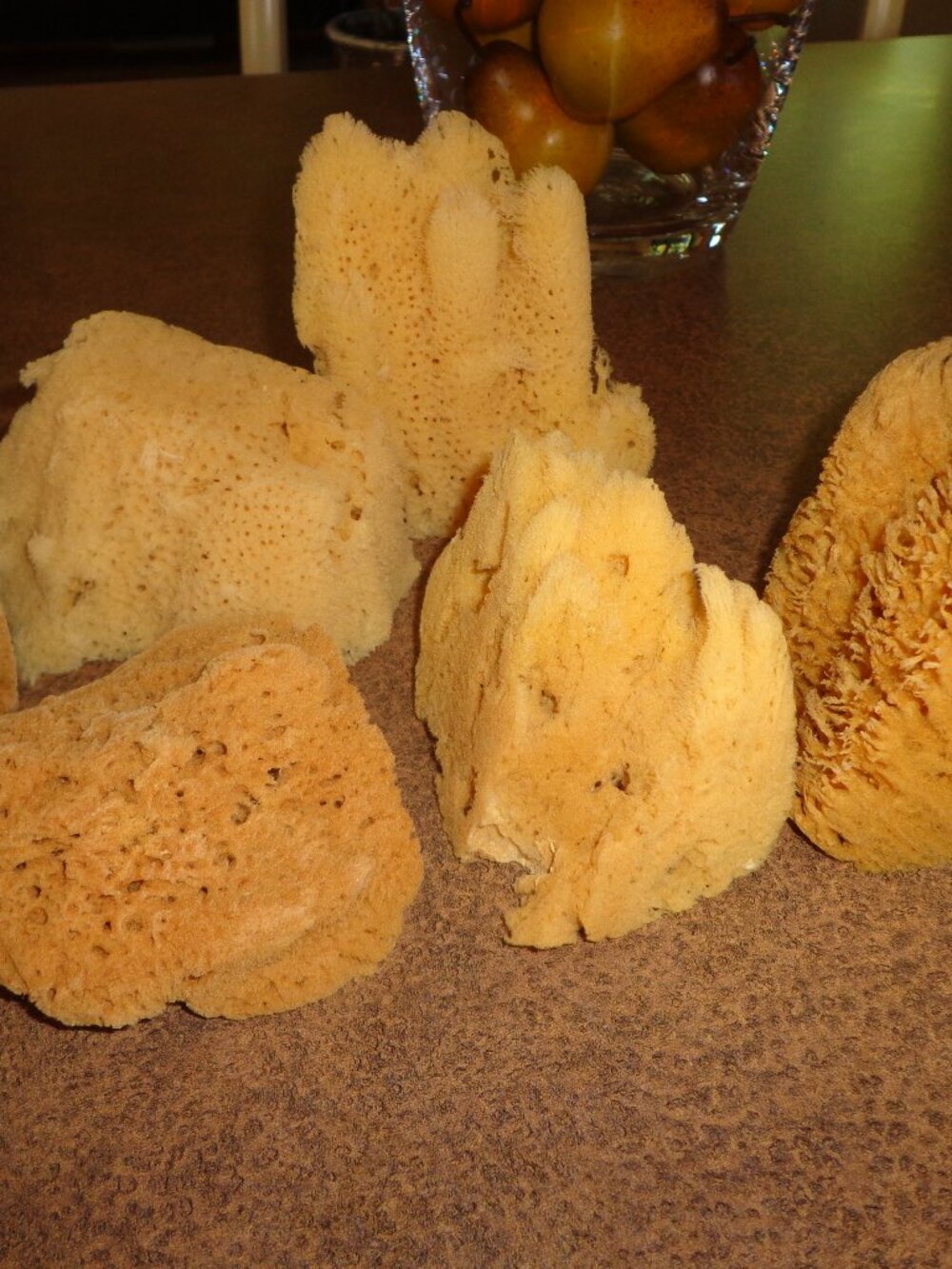 Lot of 6 Select Sponge Mix 4"-5" (NEW)
